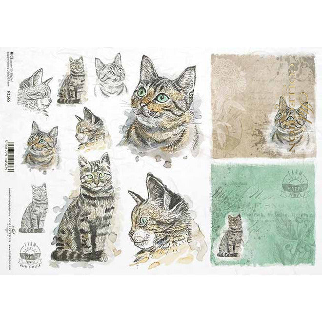 R1565 - Decoupage Rice Paper - Tabby Cat, animals, cat, cats, kitty, kitties, cat heads