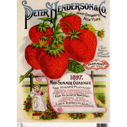 strawberry seed packet TT62 -A4 - Decoupage Rice Paper - Calambour - Vintage Seed Catalog