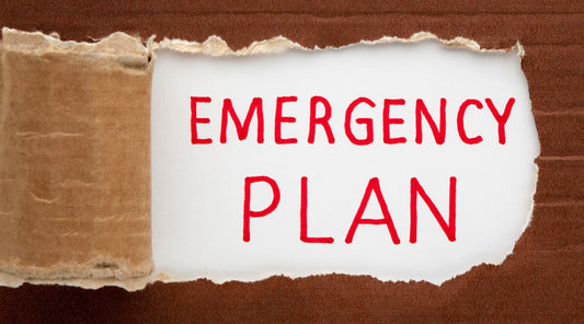 The  Emergency Plan for my FB/IG Pages if it is ever Necessary!!!
