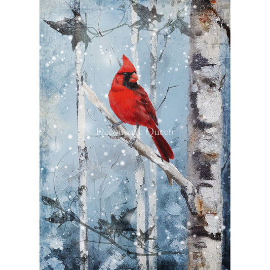 0519_A4 - Rice Paper - Decoupage Queen - Hand Painted Cardinal