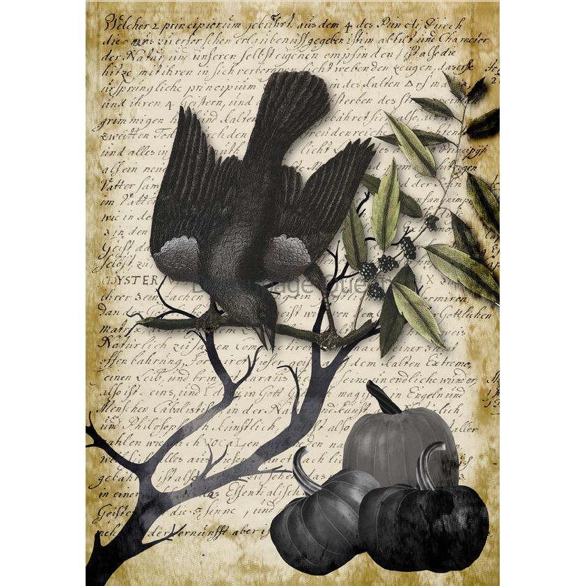 0623 - Rice Paper - Decoupage Queen - Raven Grimoire 1