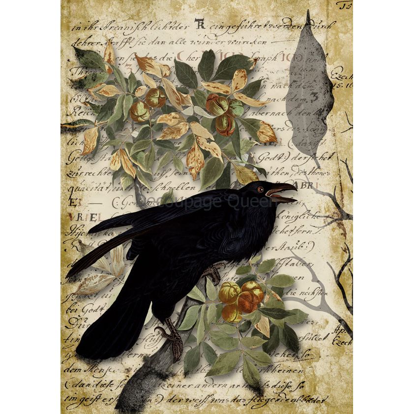 0624 - Rice Paper - Decoupage Queen - Raven Grimoire II