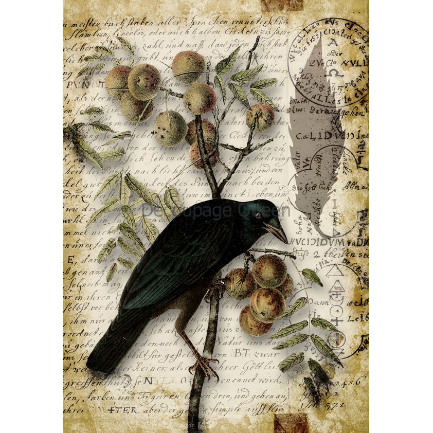 0625 - Rice Paper - Decoupage Queen - Raven Grimoire III