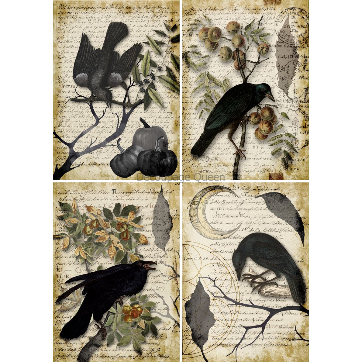 0627 - Rice Paper - Decoupage Queen - Raven Grimoire 4 Pack (4 Images on 1 Page)