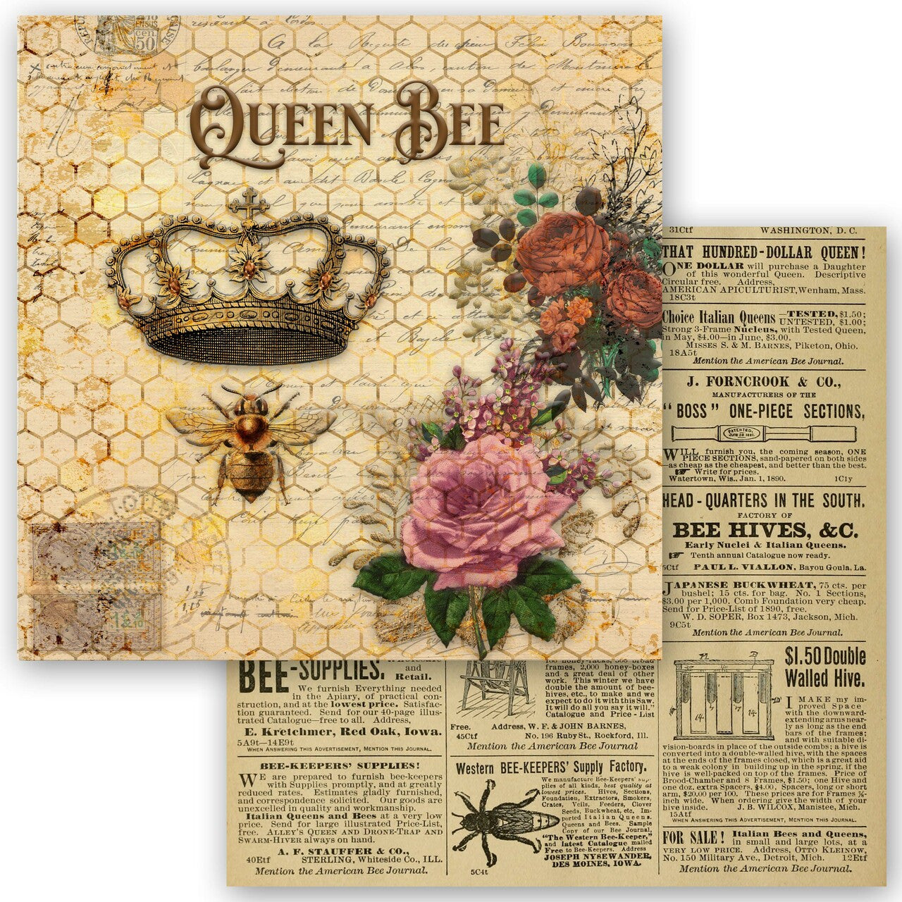 Queen Bee Collection Scrapbook Set - Mini