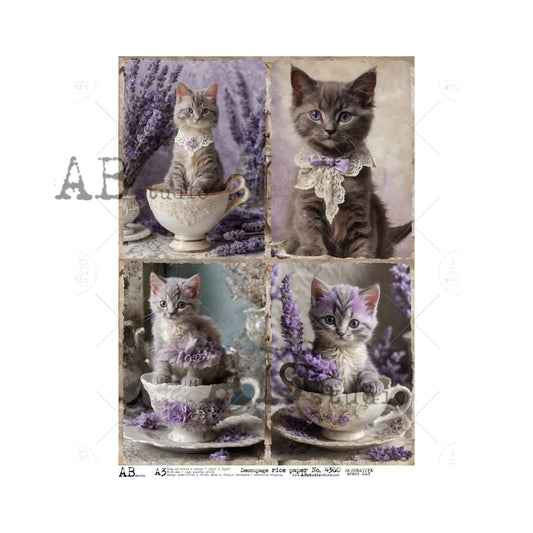 4360 -A3 - Rice Paper - AB Studios - Four Kittens Lavender Themed in Teacups