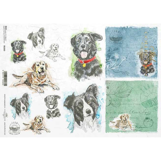R1563 - Decoupage Rice Paper - Border Collie, Lab , dog, dogs, doggy, doggy, dog heads, inscriptions, happy farm, happy farm, background