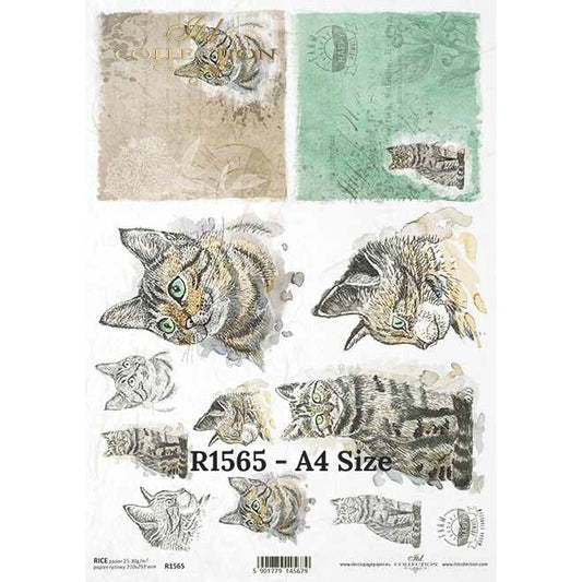 R1565 - Decoupage Rice Paper - Tabby Cat, animals, cat, cats, kitty, kitties, cat heads