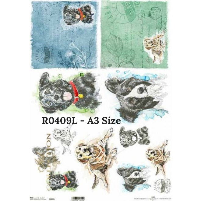 R0409L - Decoupage Rice Paper - Border Collie, Lab dog, dogs, doggy, little dog, dog heads