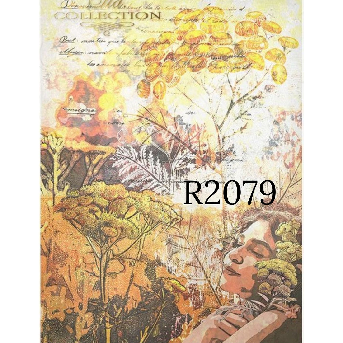 R2079 - Decoupage Rice Paper - woman's face, plants, tansy