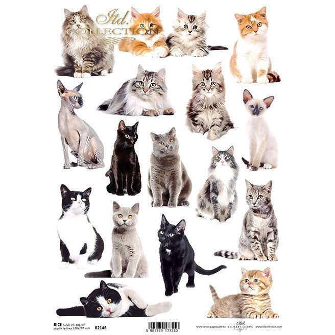 R2146 - Decoupage Rice Paper - Cats