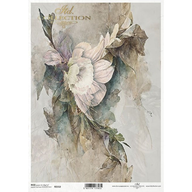 R2152 - Decoupage Rice Paper - plant motifs, floral motifs, background, wallpaper, collage, plants, flowers.