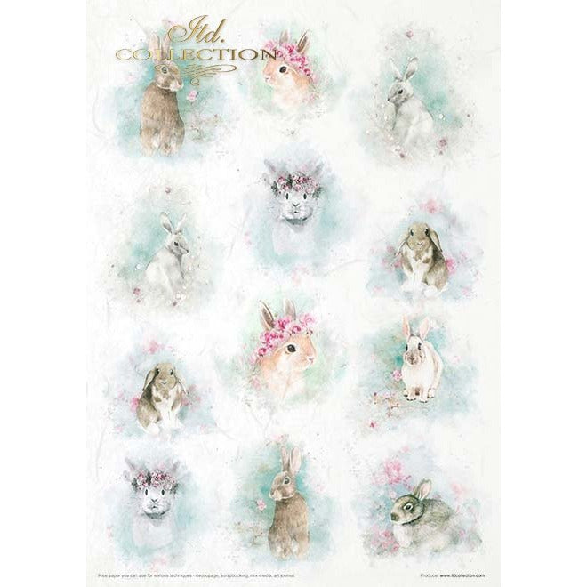 RP030 - Decoupage Rice Paper Set of 11 Papers -  Creative Set Shabby Chic for Spring