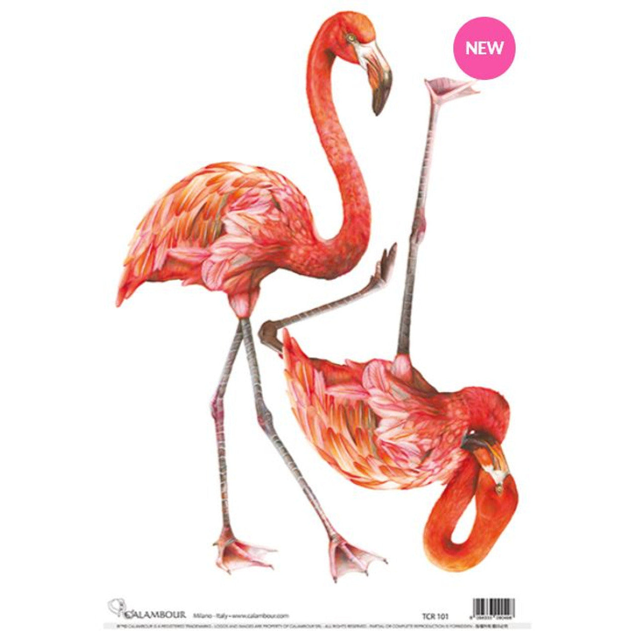 TCR 101-A3 - Decoupage Rice Paper - Calambour Two Flamingos