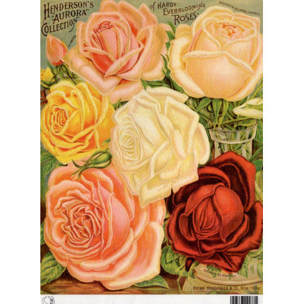 TT109 -A4 - Decoupage Rice Paper - Calambour - Vintage Seed Catalog - Henderson's Aurora Collection of Hardy Roses