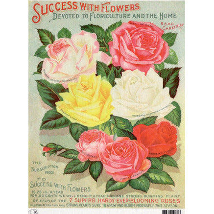 TT118 -A4 - Decoupage Rice Paper - Calambour - Vintage Seed Catalog - Success with Flowers Roses