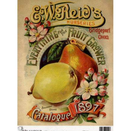 TT57 -A4 - Decoupage Rice Paper - Calambour - Vintage Seed Catalog - EW Reid's Nurseries the Koonce Pear 1897