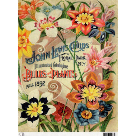 TT99 - A4 - Decoupage Rice Paper - Calambour - Vintage Seed Catalog - John Lewis Childs Bulbs & Plants  Fall 1892 Illustrated Catalog