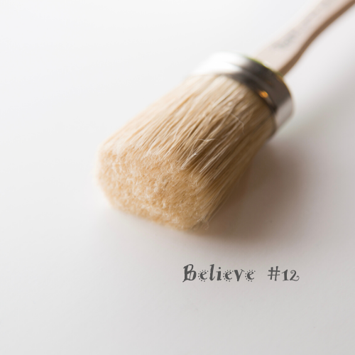 BELIEVE #12 Oval Brush