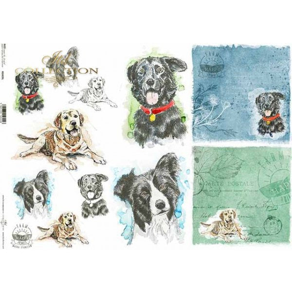 R0409L - Decoupage Rice Paper - Border Collie, Lab dog, dogs, doggy, little dog, dog heads